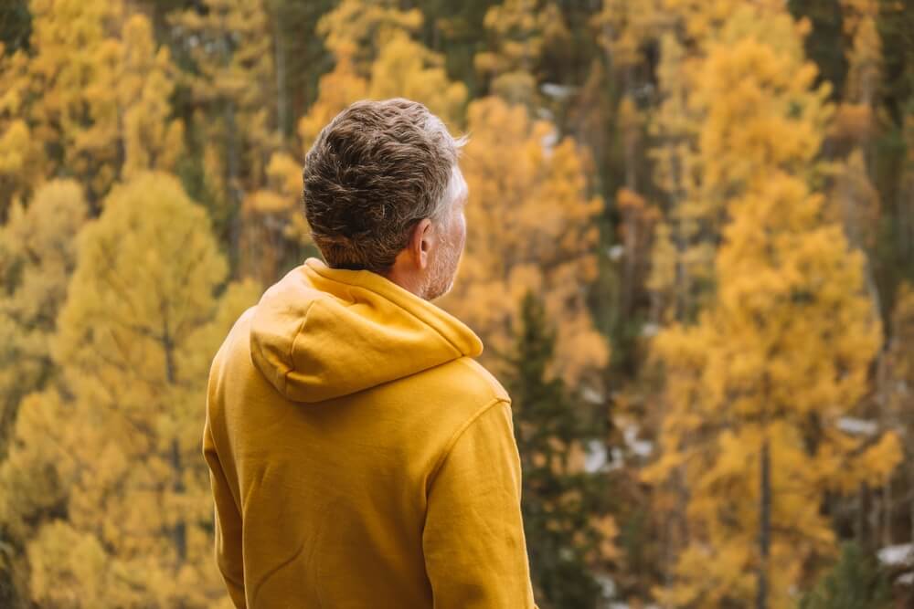 Gambling addiction feature image man overlooking forest